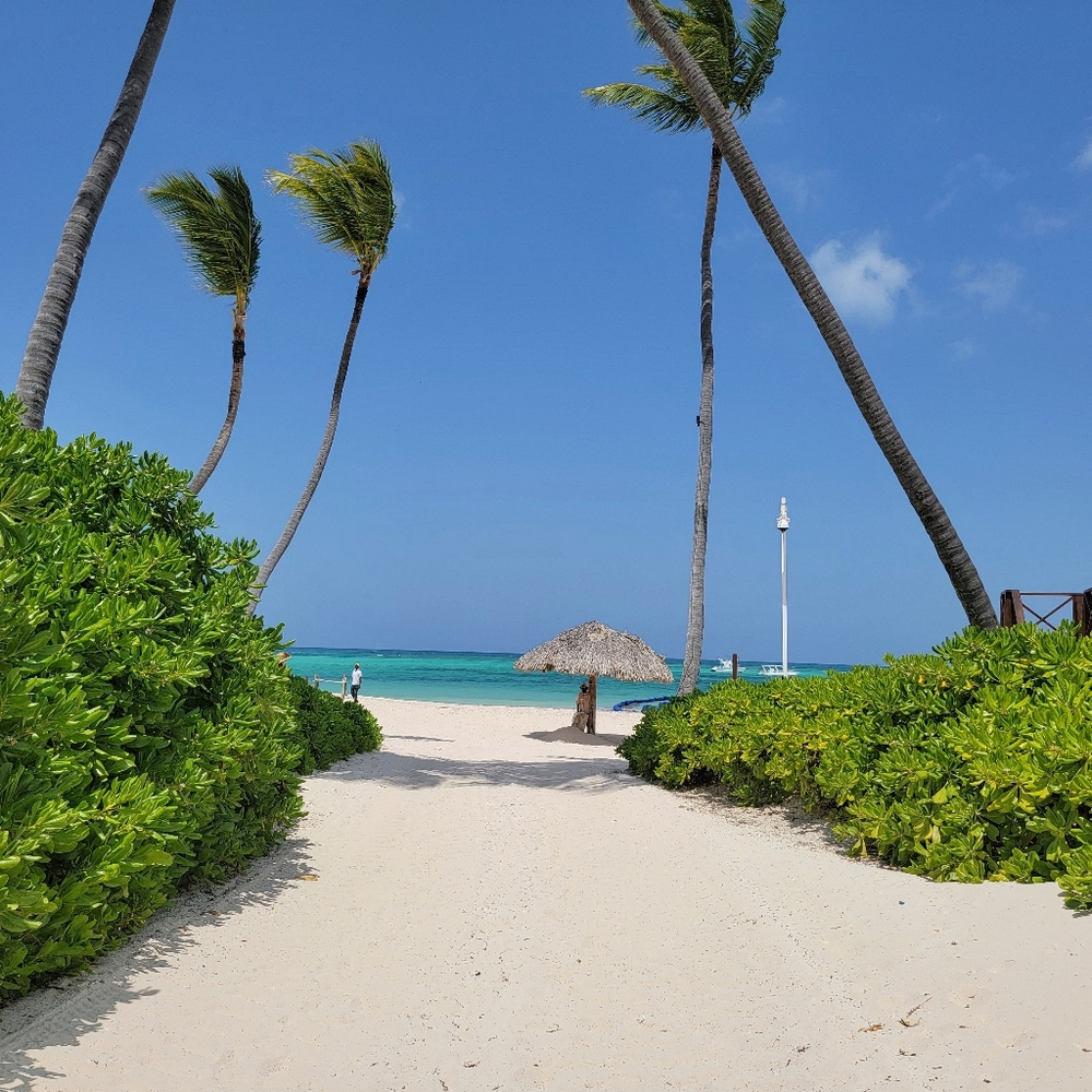 Meet your Posher, Atom